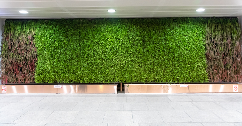 urban vegetal facade  - plant facade - plant wall - bangko