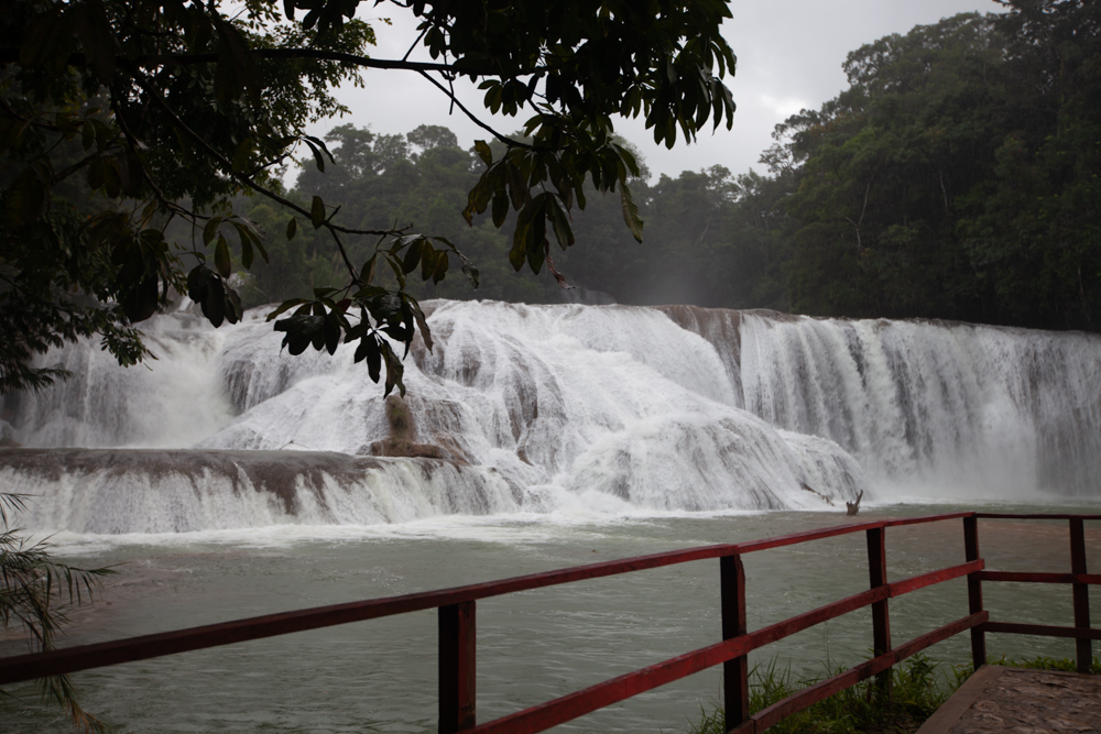 Agua Azul waterfall - Mexico