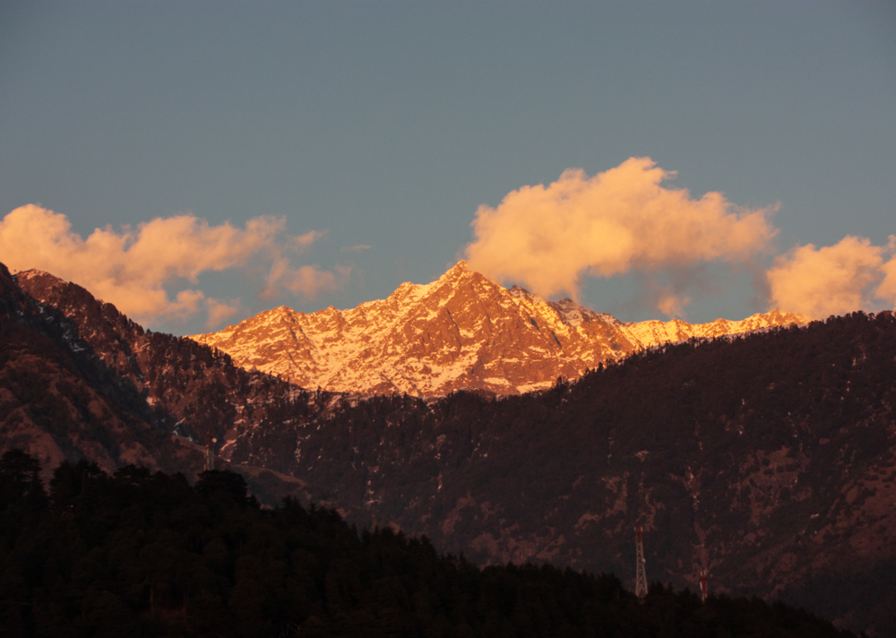 Dharamsala - Mountain