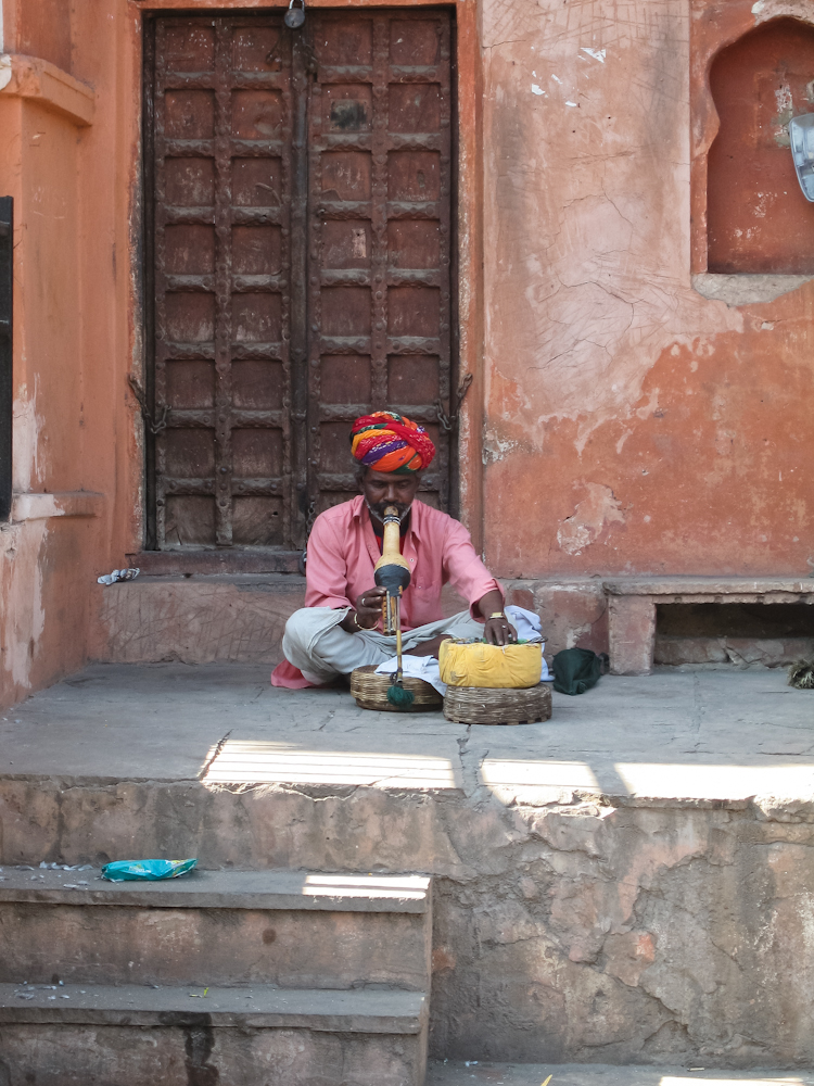 snake charmer - Jaipur