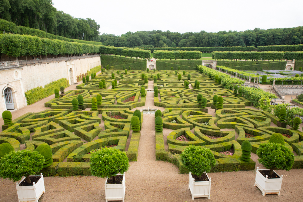 ornamental garden  - Chateau de Villandry - Loire Valley