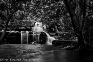 Pang Sida national Park - waterfall - thailand