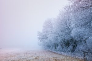 frozen field - France - Nievre -paysage d'hiver - winter landscape