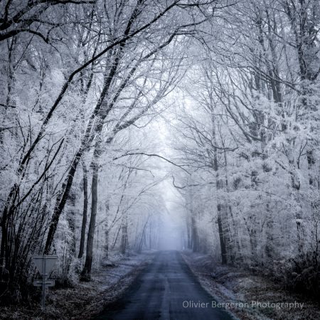 France - Nievre -paysage d'hiver - winter landscape