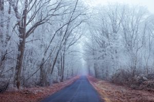 France - Nievre - paysage d'hiver - winter landscape