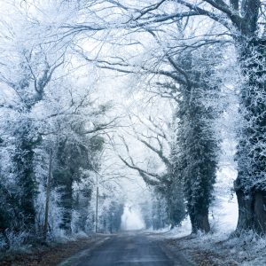 France - Nievre - paysage d'hiver - winter landscape