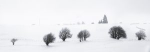 six bosquets - Auvergne - France - winter landscape