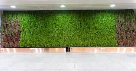 urban vegetal facade - plant facade - plant wall - bangko