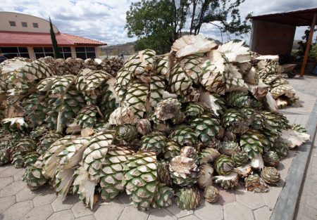 mezcal distillery - Oaxaca