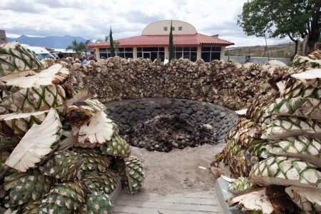 mezcal distillery - Oaxaca