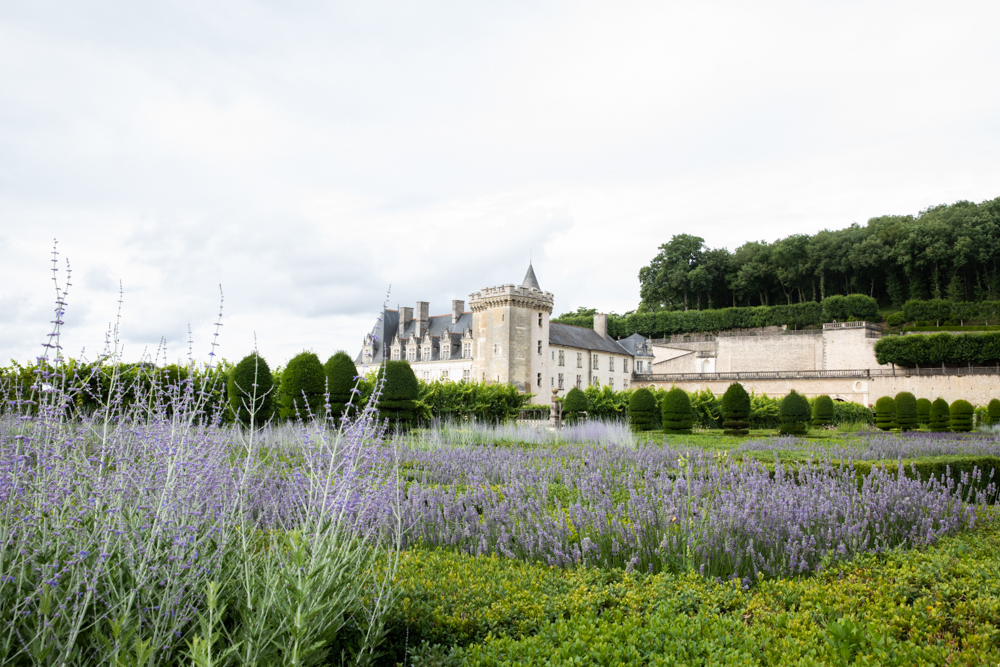 garden - Chateau De Villandry